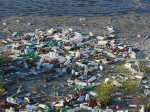 Des déchets plastiques flottant sur une rivière © Emilian Robert Vicol