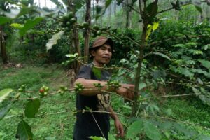Dhana Kencana / Climate Visuals Countdown