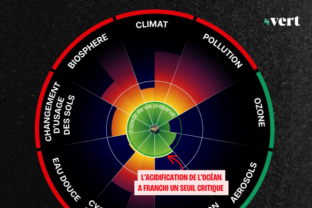 Une septième limite planétaire est franchie, l’acidification des océans ...