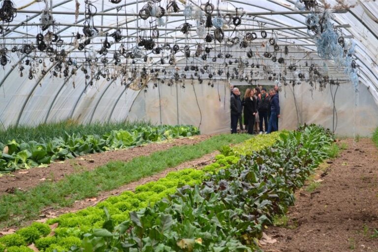 Ferme municipale, cantine 100% bio… À Mouans-Sartoux, une politique alimentaire exemplaire qui inspire au-delà des frontières