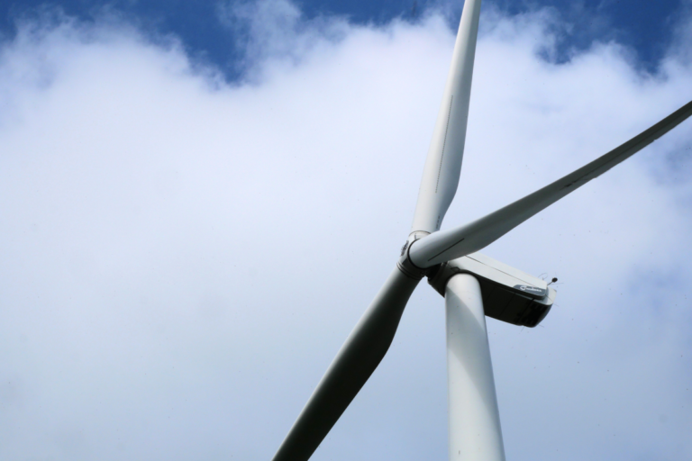 Enercoop, Ekwateur, Octopus Energy… Que valent vraiment les offres d’électricité «verte» ?