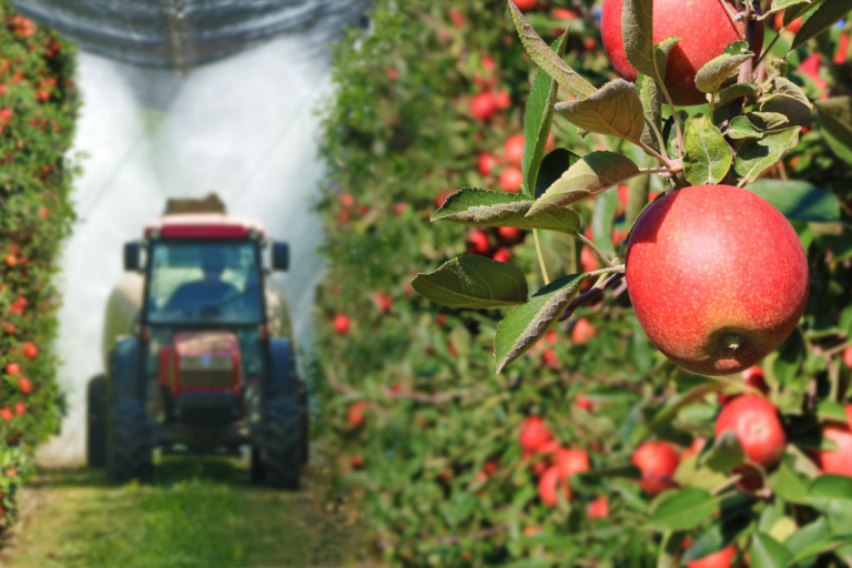 Un pesticide de Bayer interdit en Europe peut de nouveau être épandu dans les vergers français : des associations saisissent la justice