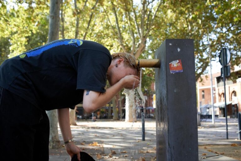 Épidémies, insécurité alimentaire… les effets dévastateurs et méconnus du réchauffement climatique sur la santé des Européens