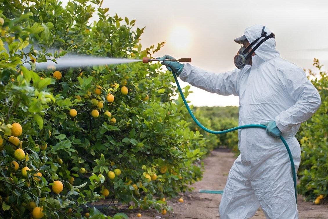 Pommes, oranges, tomates… Quels sont les aliments les plus contaminés aux pesticides et ceux qui en contiennent le moins ?