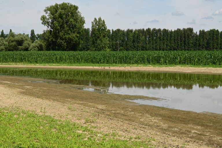 «Une pollution généralisée» : la plus grande nappe phréatique d’Europe contaminée par un cocktail de micropolluants chimiques