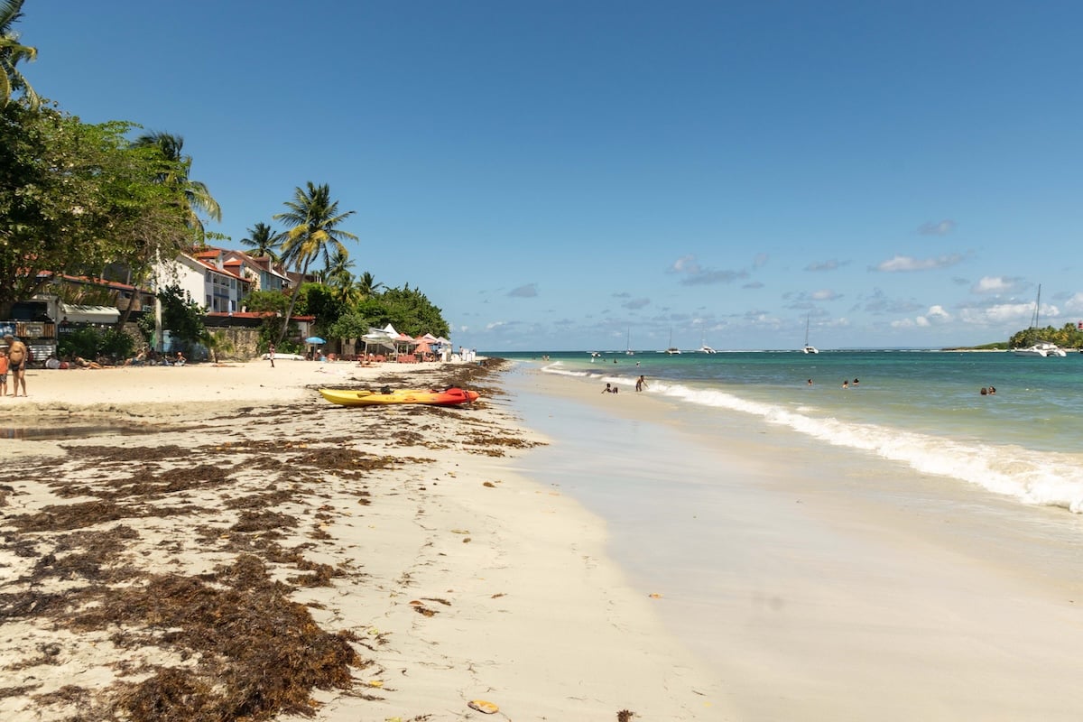 De la matière fécale dans la mer : en Guadeloupe, les interdictions de baignade se multiplient à cause des rejets d’eaux usées