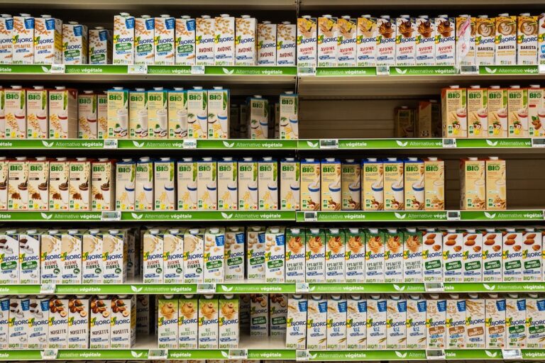 Laits de soja, d’avoine ou de riz : quelle alternative au lait de vache est la meilleure pour l’environnement et la santé ?
