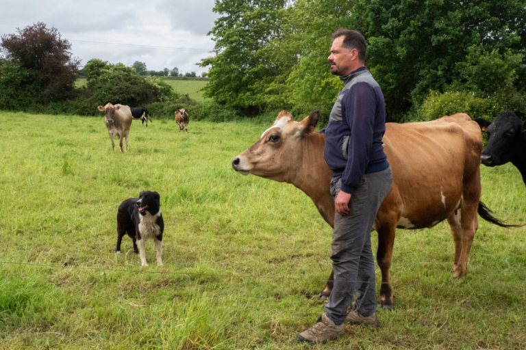 En Mayenne, un élan de solidarité et des producteurs de lait bio sauvés in extremis : «On fait un pari sur l’avenir»