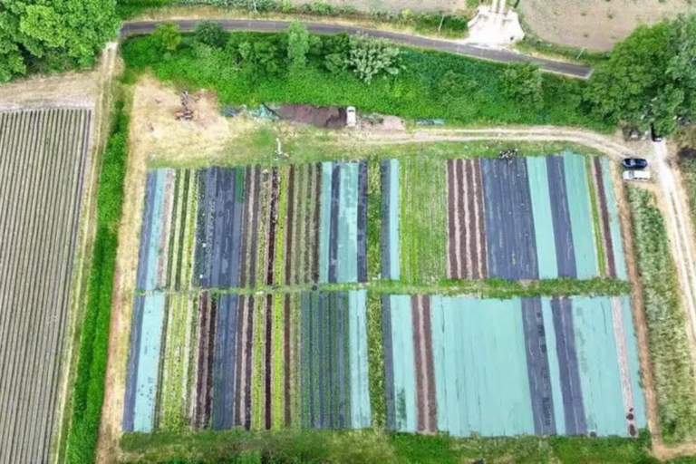 «Cette équipe avance comme un rouleau compresseur» : à Carpentras, le maire RN met fin à la ferme municipale bio pour les cantines