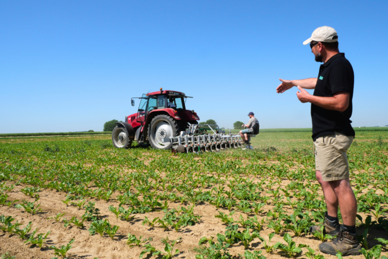 Cultiver sans pesticides, c’est possible : dans la Somme, ces scientifiques sèment des alternatives
