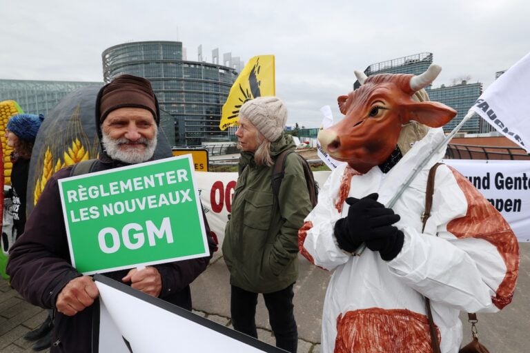 Les «nouveaux OGM» arrivent en Europe : vraie solution pour l’agriculture ou énième recul écologique ?