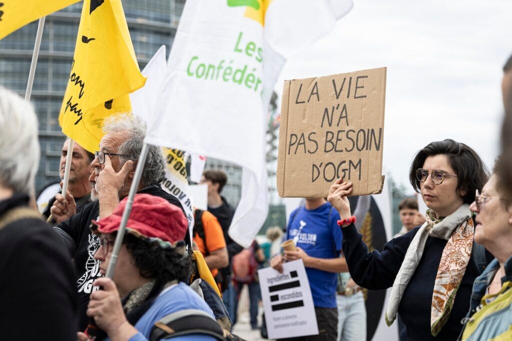 «Nouveaux OGM» : pression maximale sur le Parlement européen avant un vote décisif sur les nouvelles techniques génomiques