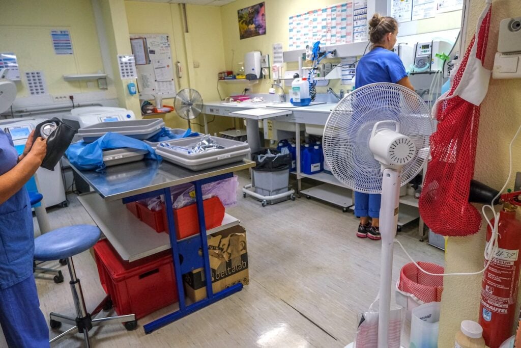 Urgences saturées, manque de soignants : la chaleur extrême révèle la déroute du système de santé face au changement climatique