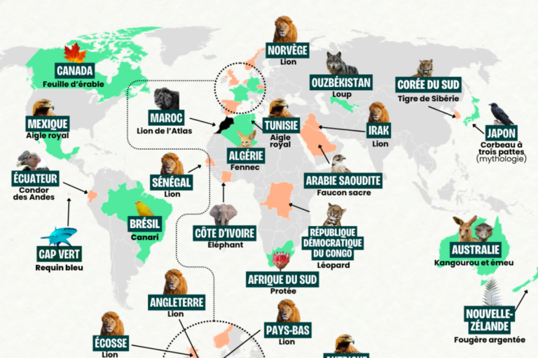 Coupe du monde de football 2026 : l’animal emblème de votre équipe préférée est-il menacé d’extinction ?