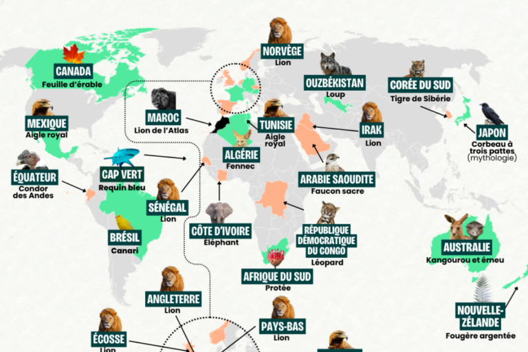 Coupe du monde de football 2026 : l’animal emblème de votre équipe préférée est-il menacé d’extinction ?