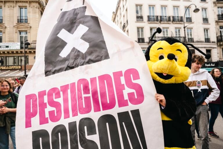 Laurent Duplomb et le Sénat veulent le réautoriser : révélations sur le flupyradifurone, cet autre pesticide «tueur d’abeilles»