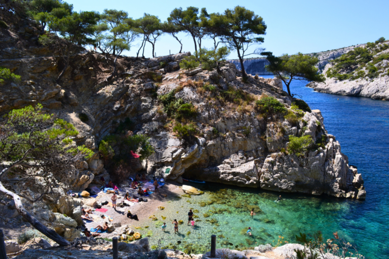 «Les racines des pins sont à nu, les plantes ont disparu» : à Marseille, le défi de la protection des calanques, stars des réseaux sociaux
