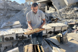 «Je les traite comme mes enfants» : dans les décombres de Gaza, ces apiculteurs tentent de sauver les abeilles, un enjeu de sécurité alimentaire