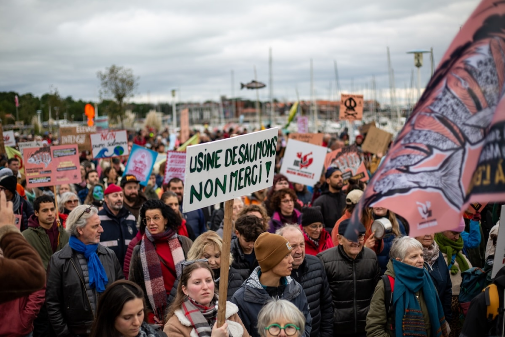 «Complètement démesuré» : la préfecture de Gironde autorise le plus grand projet de ferme à saumons de l’Union européenne
