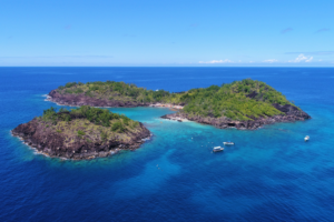 «On voit disparaître des espèces» : en Guadeloupe, la célèbre réserve Cousteau peine à enrayer l’effondrement de sa biodiversité