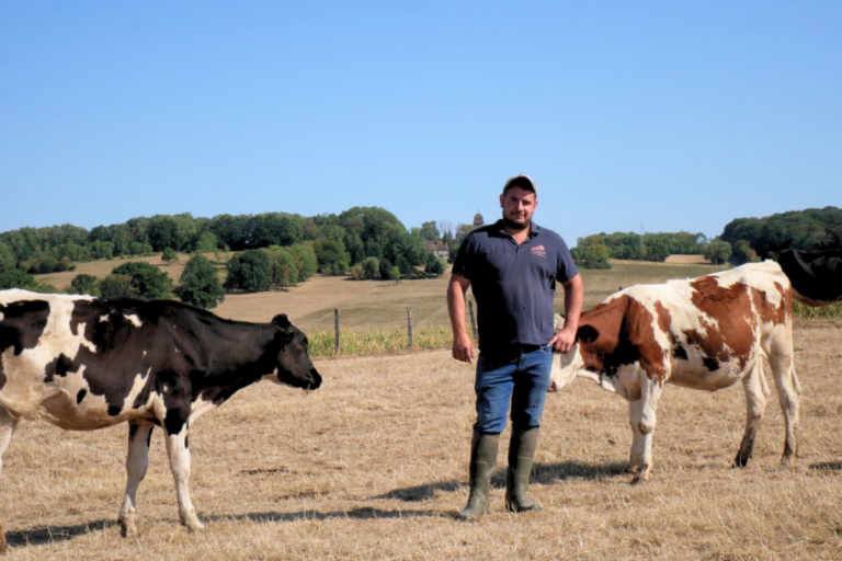 «Tout est grillé, plus rien ne pousse» : face à une sécheresse sans précédent, les éleveurs plongent dans l’inconnu