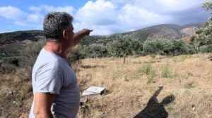 Dans le sud du Liban, les oliviers au cœur de la guerre avec Israël : «En perdre un, c’est perdre une part de notre histoire, de notre identité»
