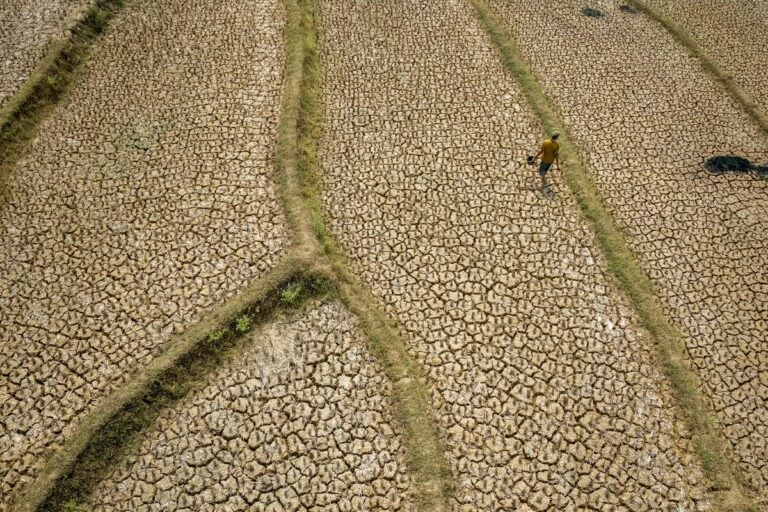 «Il pourrait être le plus puissant jamais observé» : l’Organisation météorologique mondiale alerte sur l’intensité d’El Niño