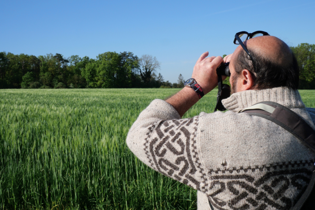 «C’est frappant d&rsquo;entendre si peu d’alouettes» : dans les jumelles d’un ornithologue à l’heure du déclin des oiseaux