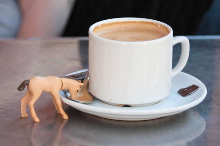 Chicorée, café d’orge ou de lupin : quelles sont les alternatives au café les plus écologiques ?