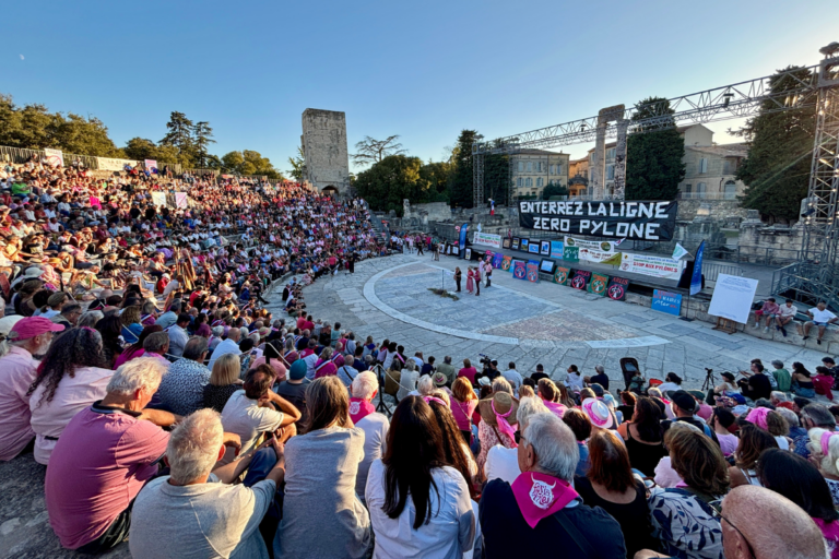 «On a peur de ne plus avoir la même Camargue» : à Arles, 2 500 personnes réunies contre le projet de ligne à très haute tension