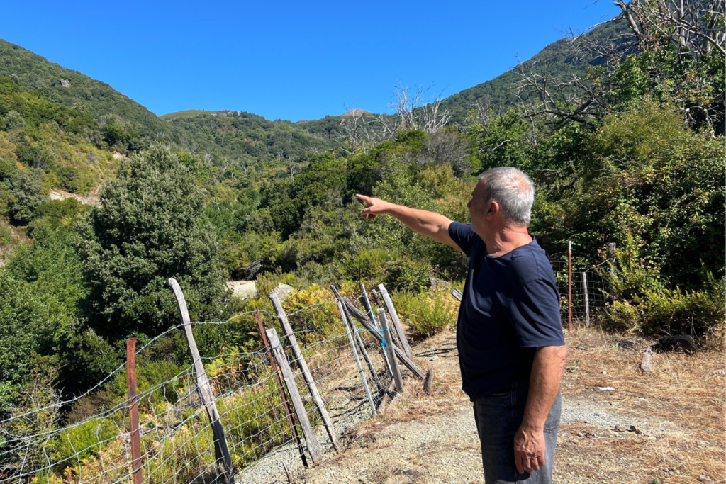 Eau souillée, poissons intoxiqués… En Haute-Corse, cette mine d’arsenic a fermé il y a 85 ans, mais la pollution demeure