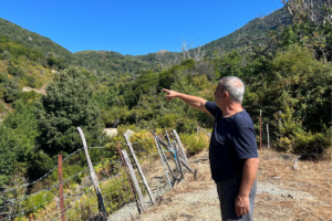 Eau souillée, poissons intoxiqués… En Haute-Corse, cette mine d’arsenic a fermé il y a 85 ans, mais la pollution demeure