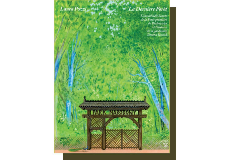 La dessinatrice Laura Pozzi nous emmène dans «La Dernière Forêt» primaire d’Europe, à la rencontre de sa gardienne Simona Kossak