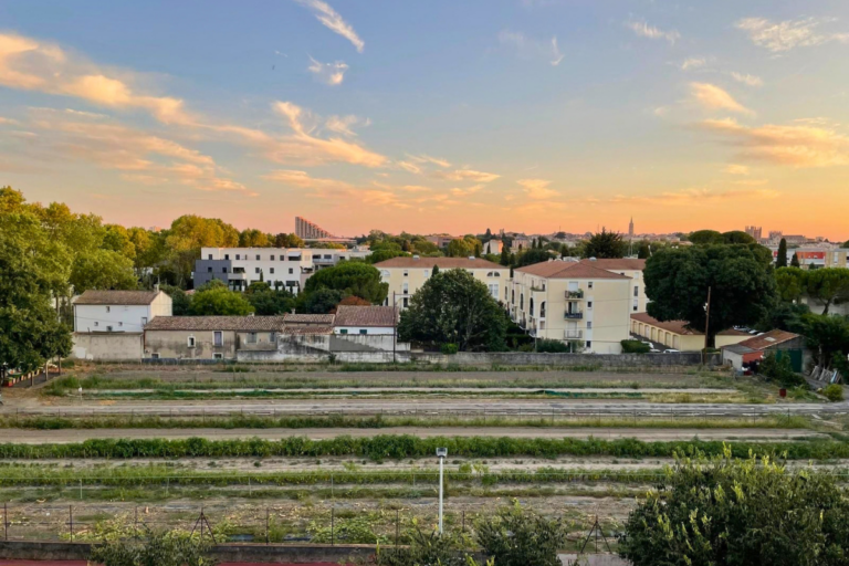 «Il y a d’autres pistes que le tout-béton» : à Montpellier, ces habitants se battent pour conserver l’une des dernières parcelles agricoles