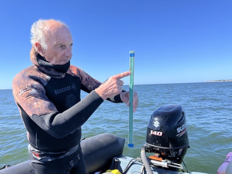 «Une forêt sous-marine» : en Loire-Atlantique, il fait pousser des algues pour retrouver de la biodiversité… et ça marche !