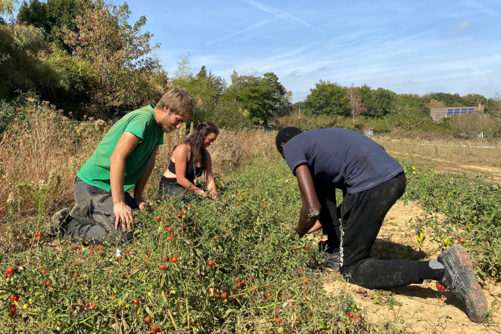 «Ils ont besoin de repreneurs, on a besoin de terres» : dans l&rsquo;Essonne, des personnes exilées reprennent une ferme sans pesticides ni irrigation