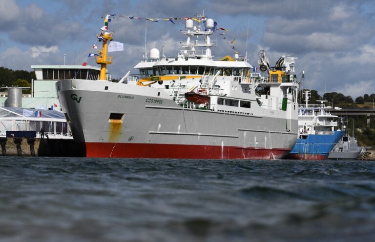 «Une immense victoire pour la pêche artisanale» : le gouvernement va interdire les chalutiers géants de la bande côtière dans l’est de la Manche
